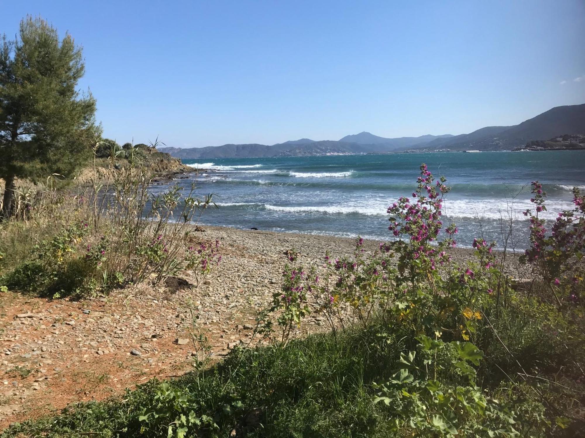 Stunning Sea Views From Luxury 4 Bed Apartment Close To Beach At Cap Ras Llança Zewnętrze zdjęcie